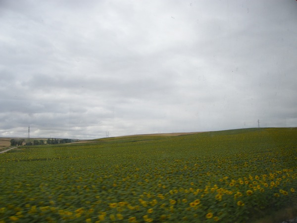 camino de santiago 002.jpg