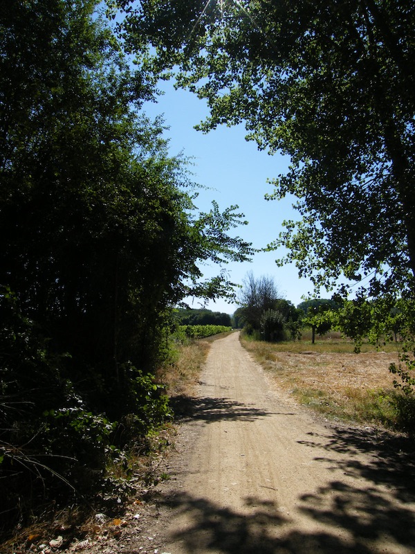 camino de santiago 027.jpg