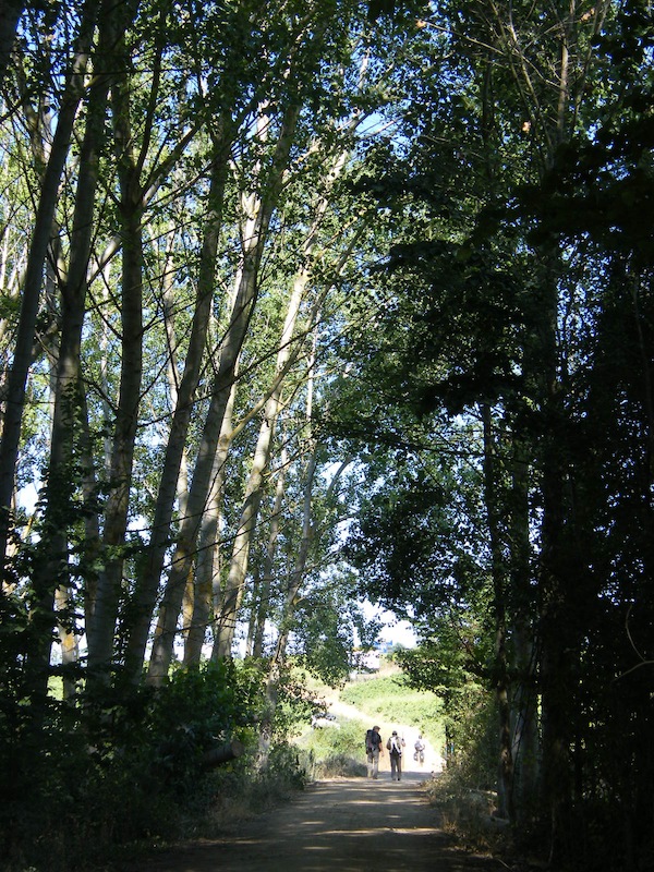 camino de santiago 028.jpg