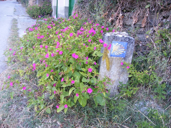 camino de santiago 032.jpg