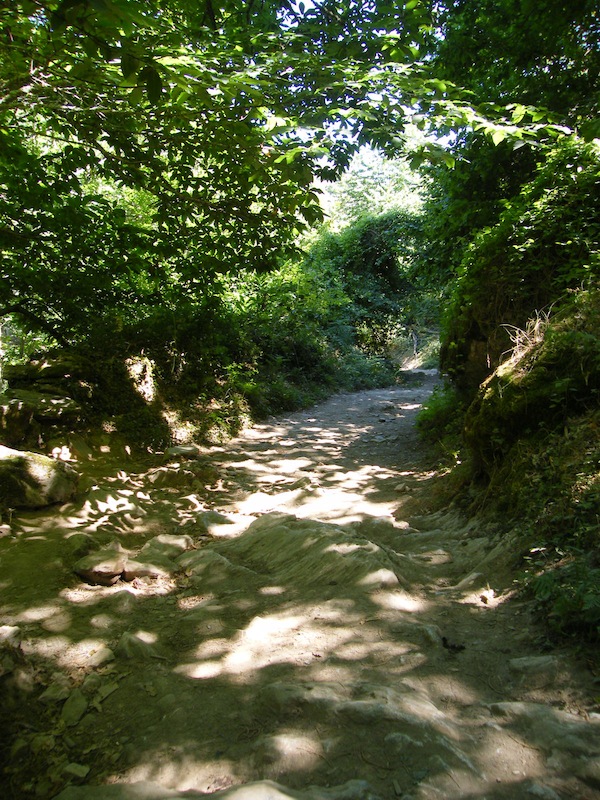 camino de santiago 043.jpg