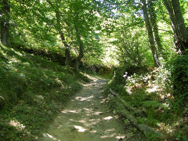 camino de santiago 044.jpg