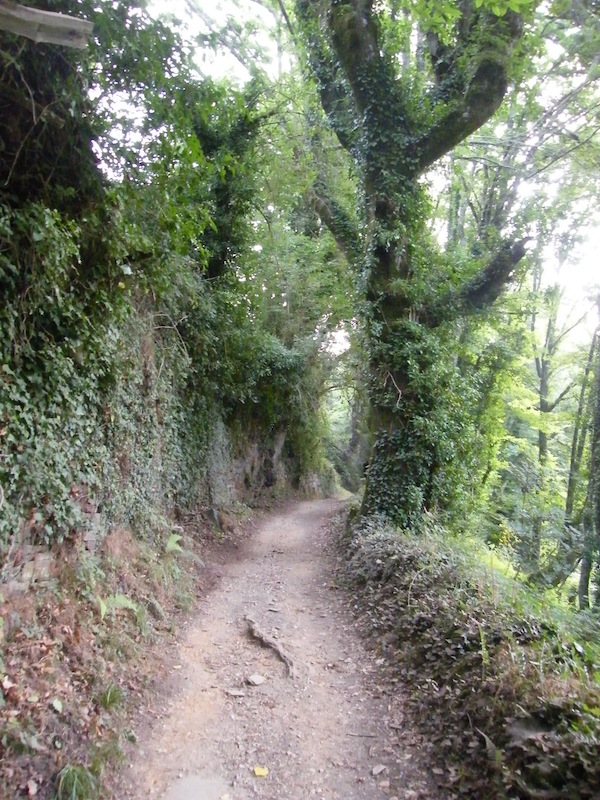 camino de santiago 062.jpg