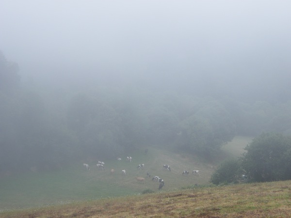 camino de santiago 077.jpg