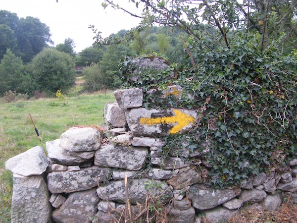 camino de santiago 084.jpg