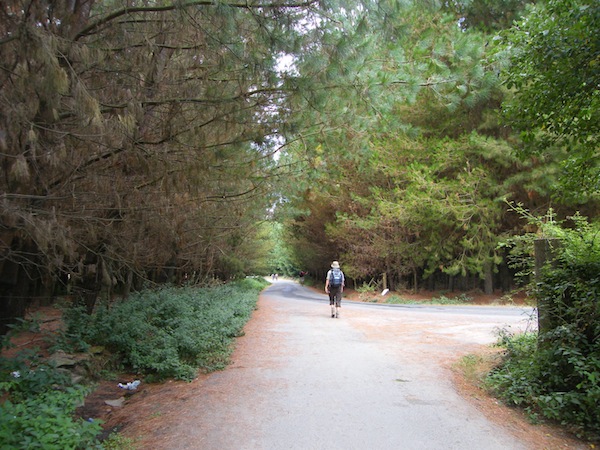 camino de santiago 089.jpg