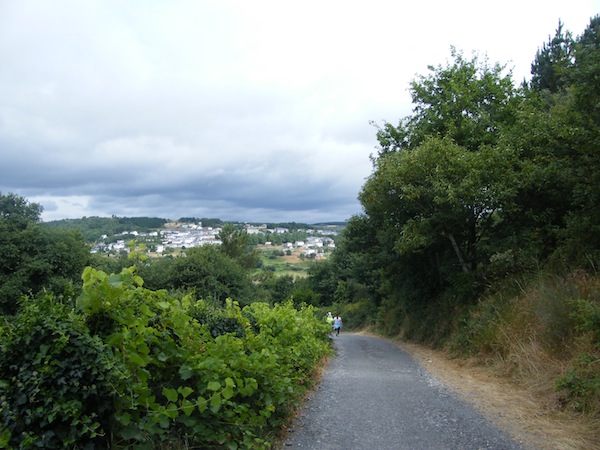 camino de santiago 099.jpg