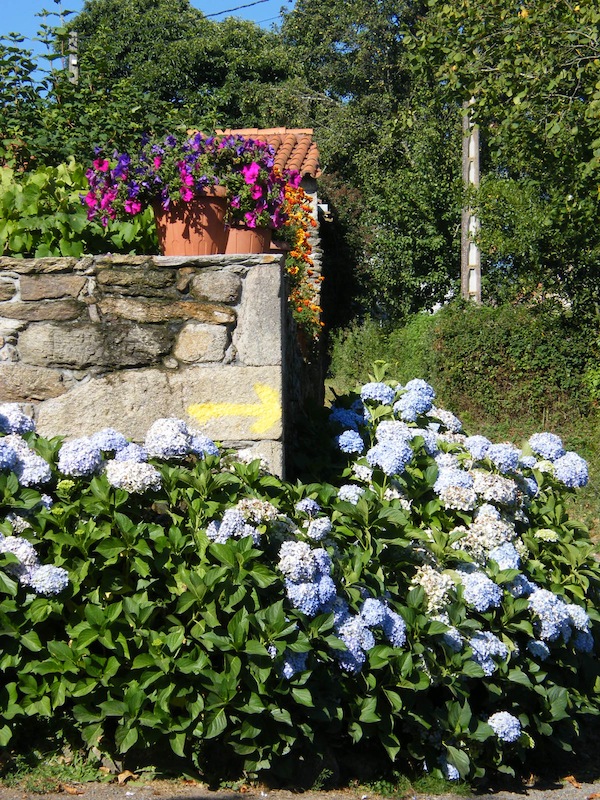 camino de santiago 115.jpg