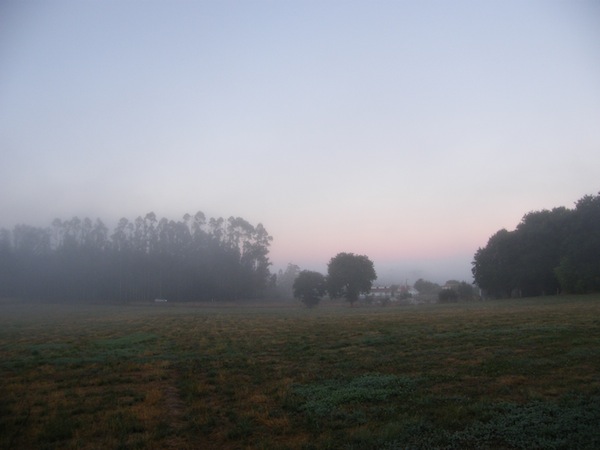 camino de santiago 167.jpg