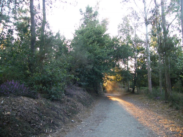 camino de santiago 177.jpg