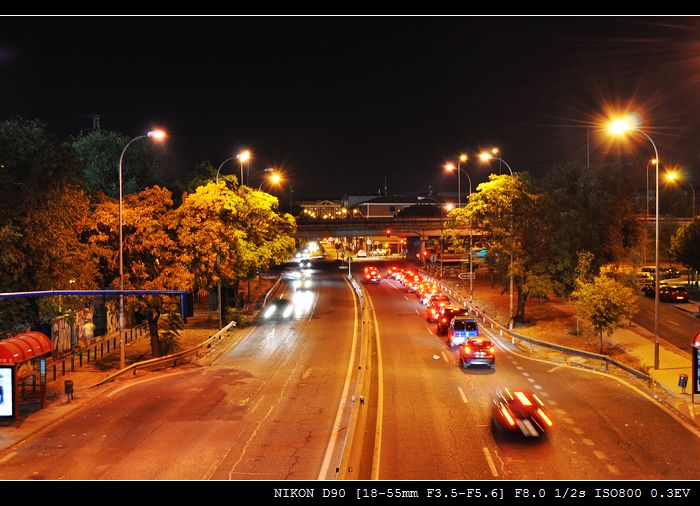 DSC_0343.jpg