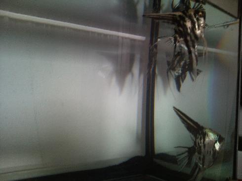 Table_照片0009.jpg