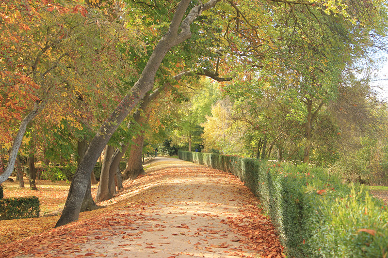 照片 579_副本.jpg