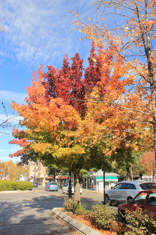 照片 613_副本.jpg