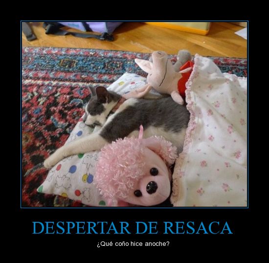 CR_410155_despertar_de_resaca.jpg