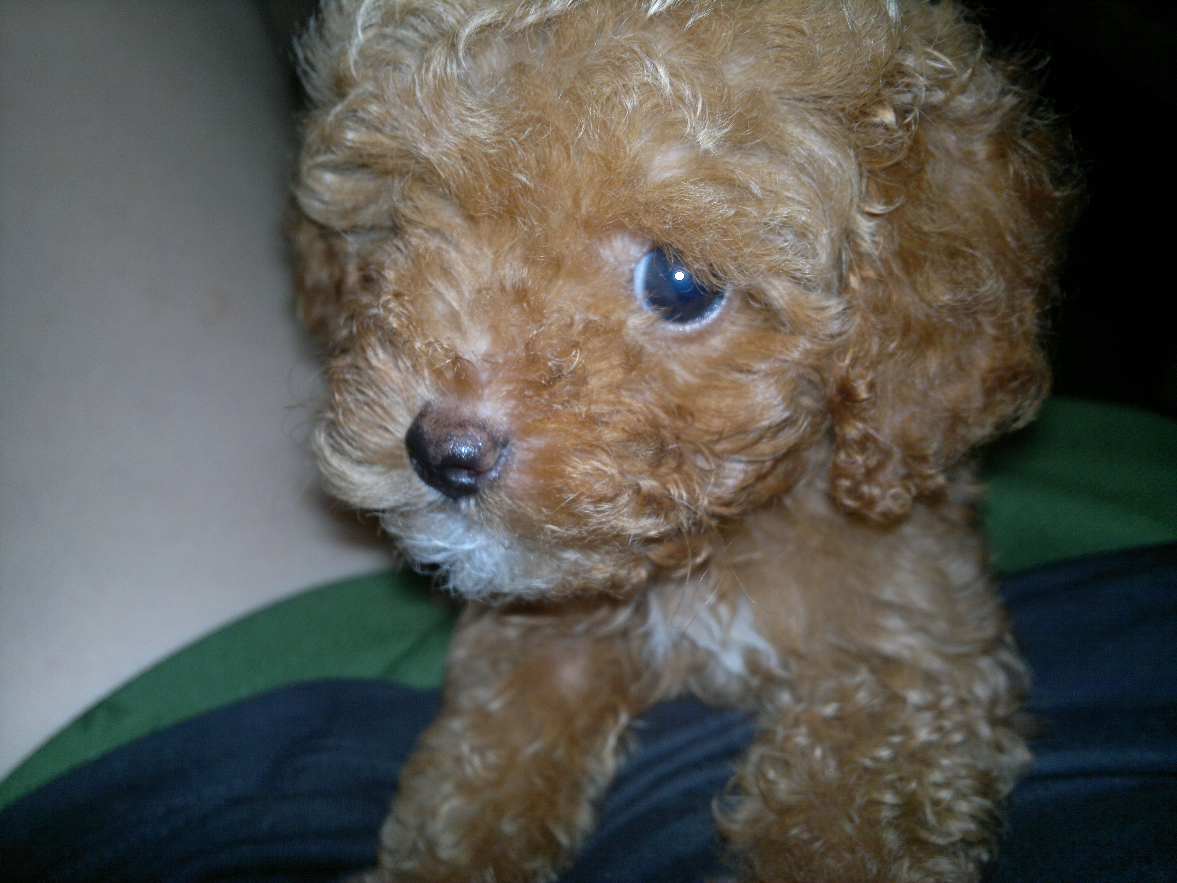 我家宝贝 095.jpg