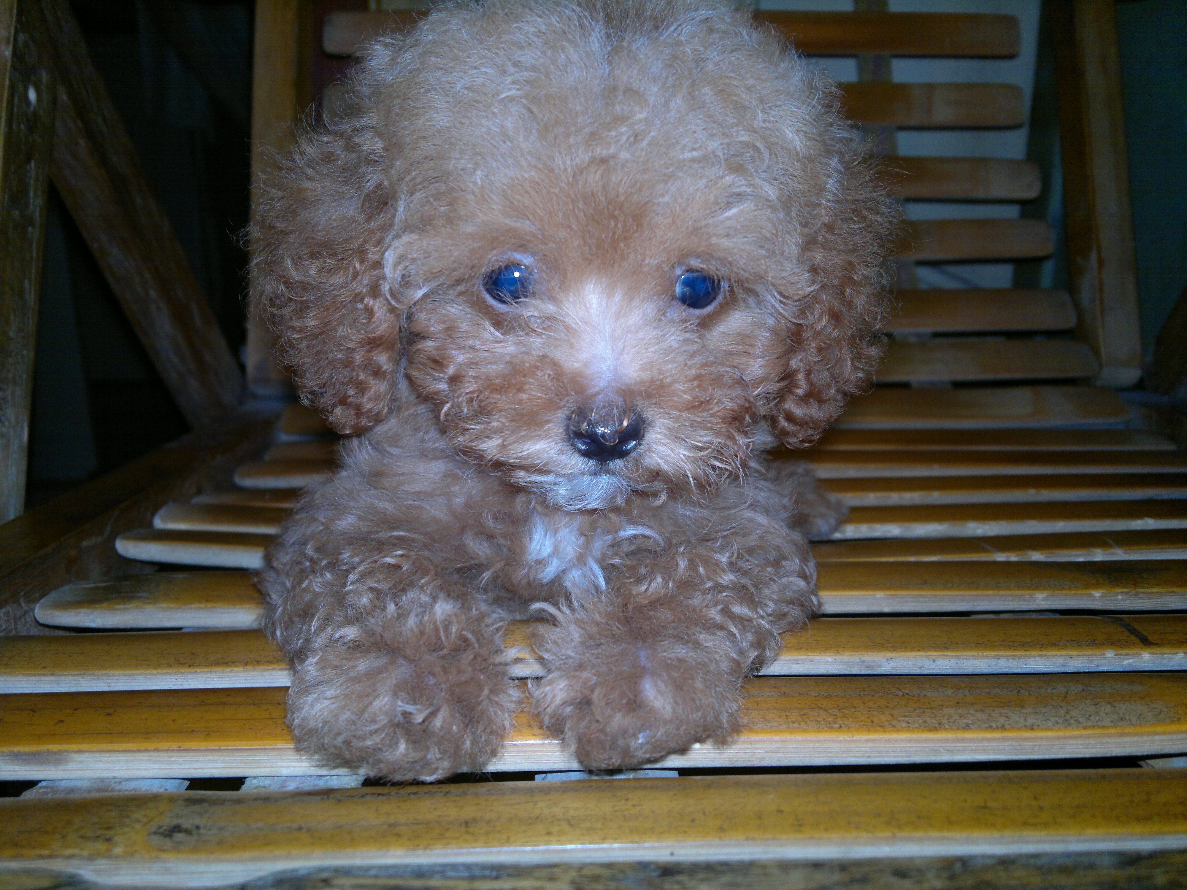 我家宝贝 195.jpg