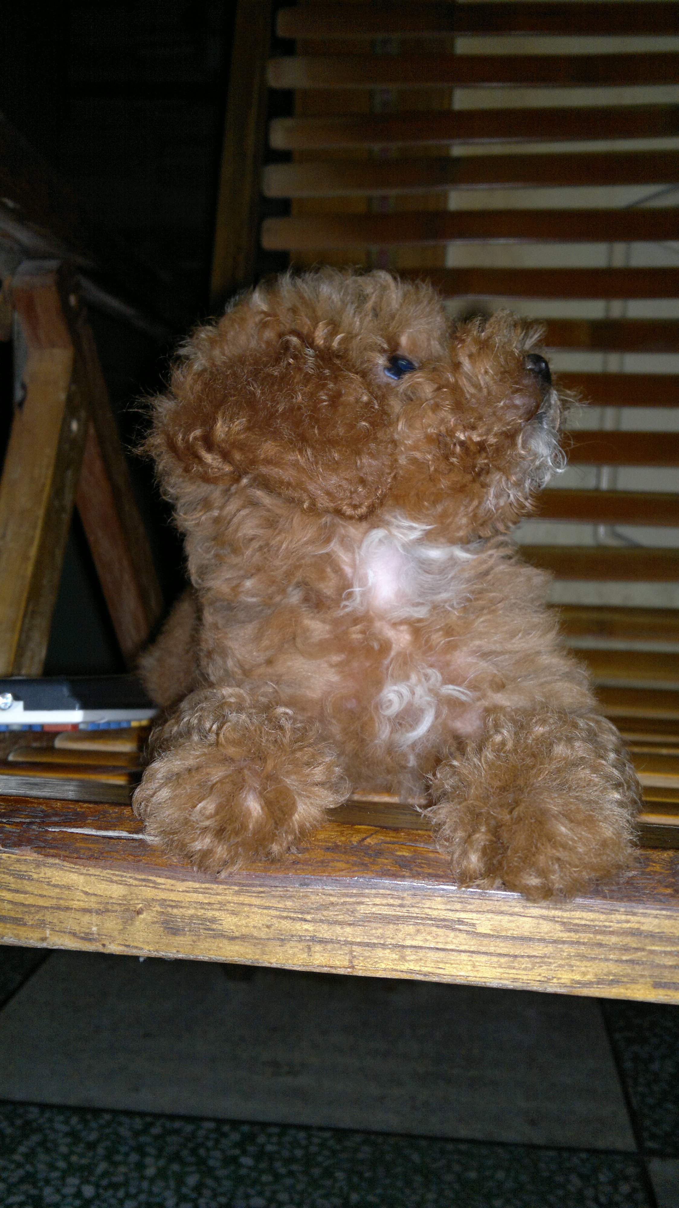 我家宝贝 021.jpg