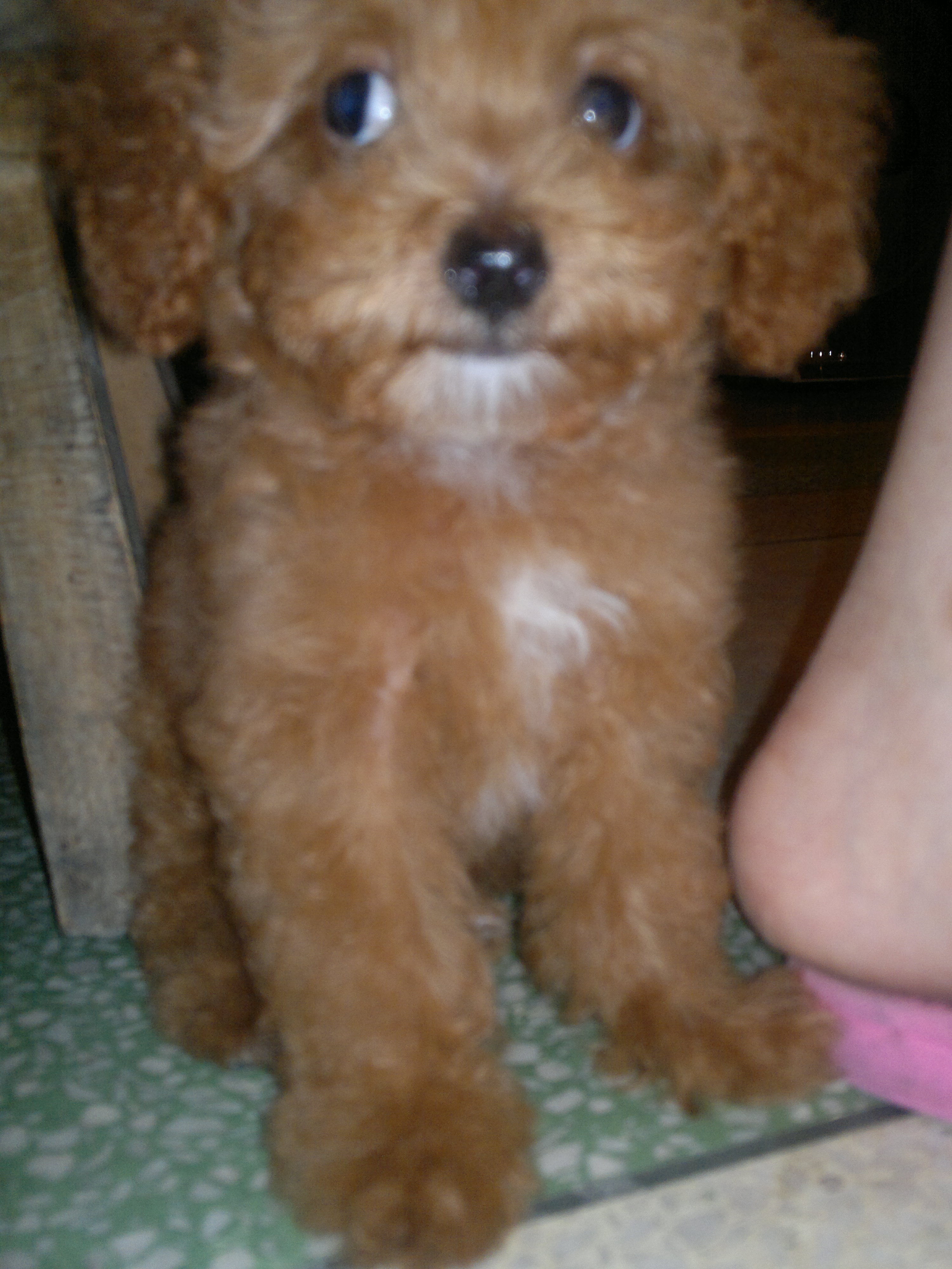 宝贝唇照 033.jpg