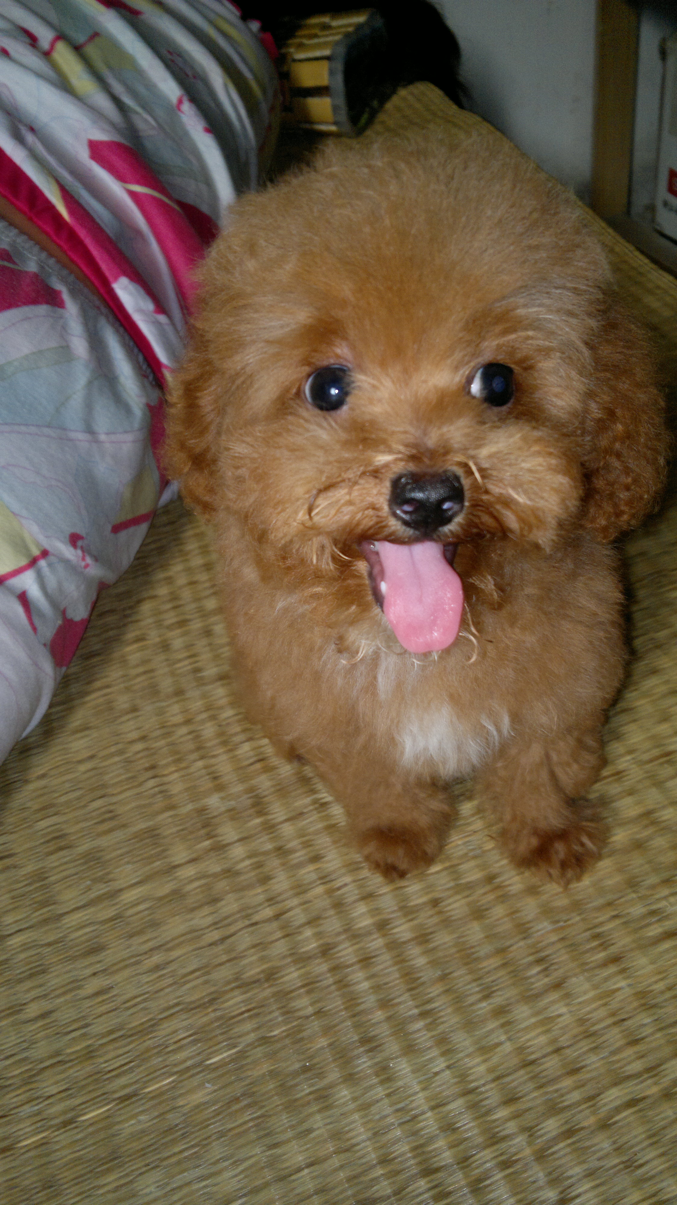 杂七杂八 014.jpg