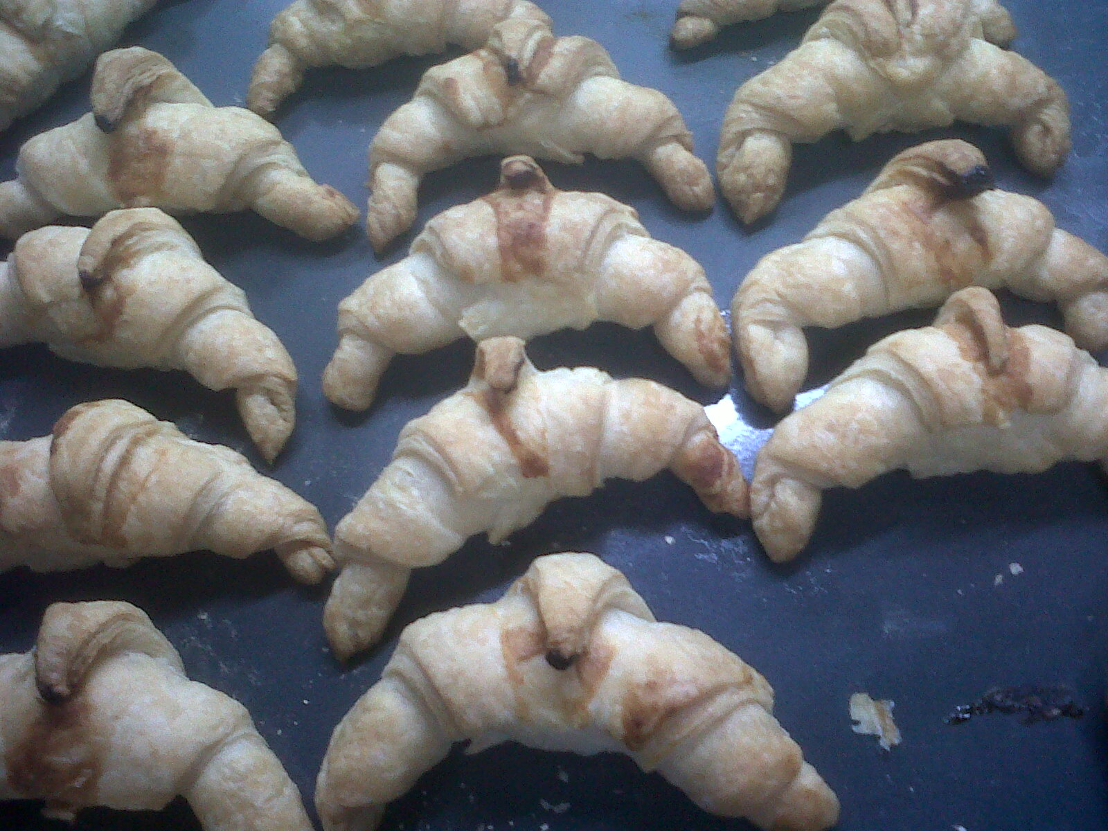 IMG00217-20111211-2028.jpg
