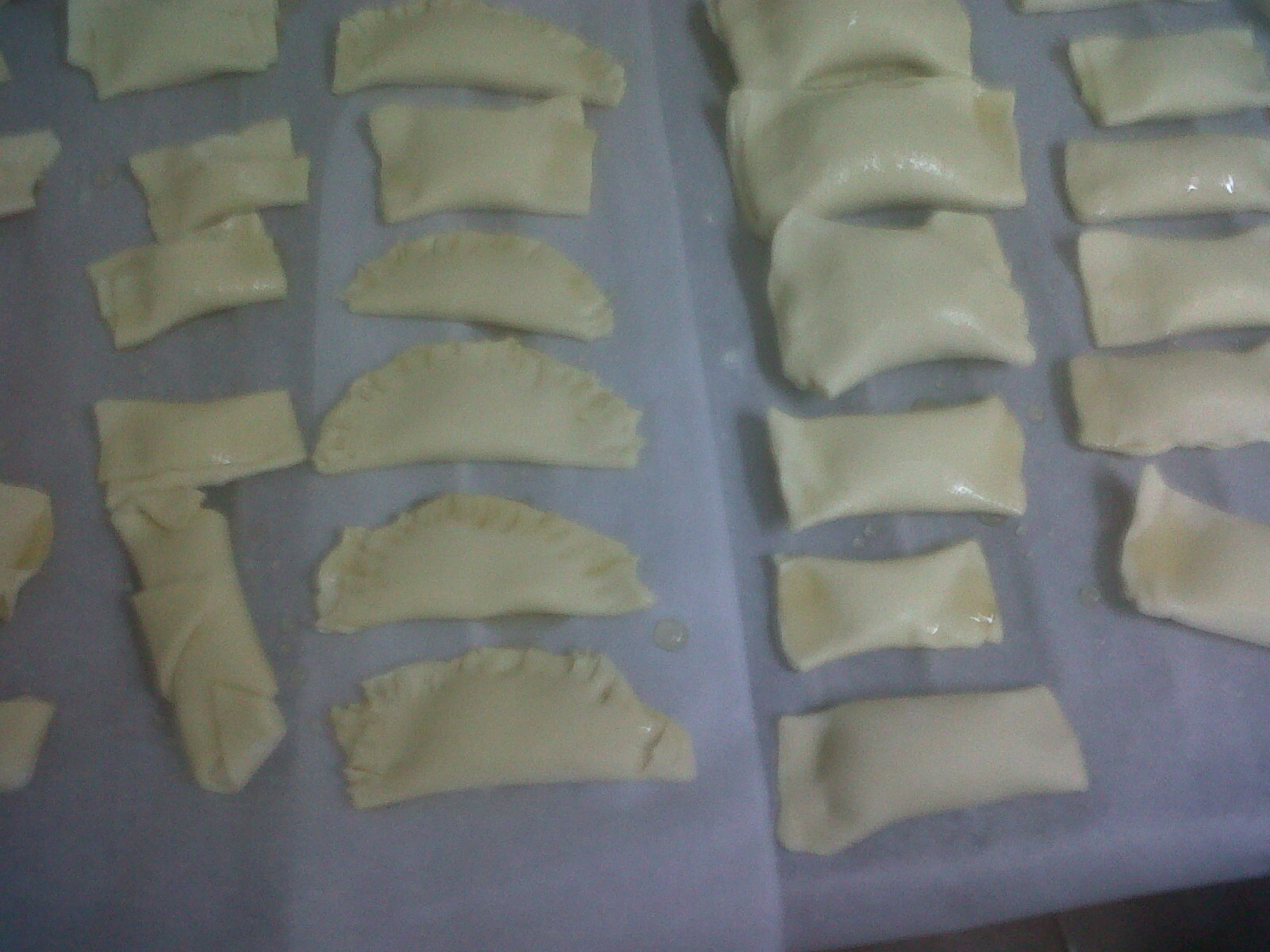 IMG00220-20111216-1159.jpg