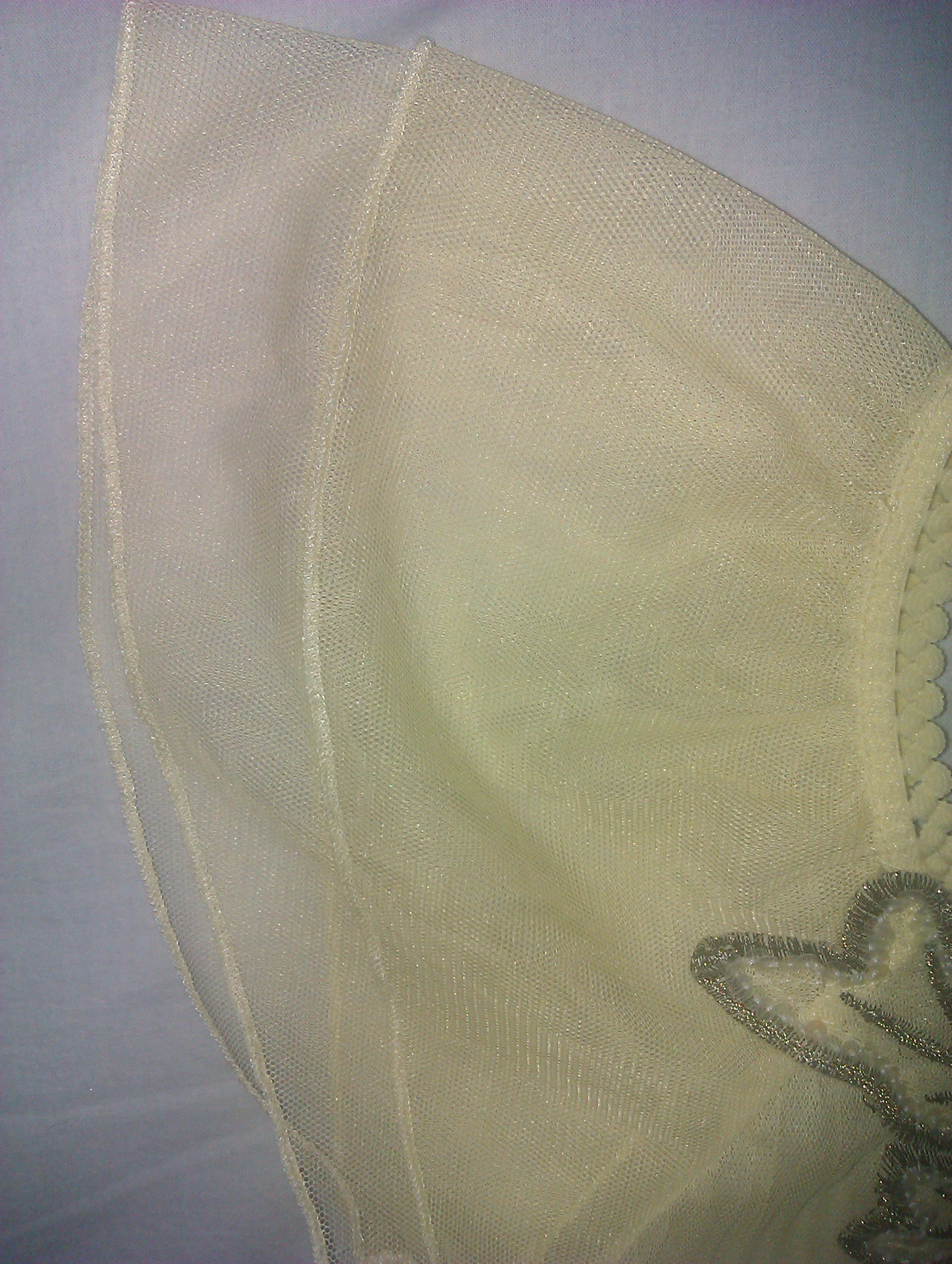 IMAG0404.jpg