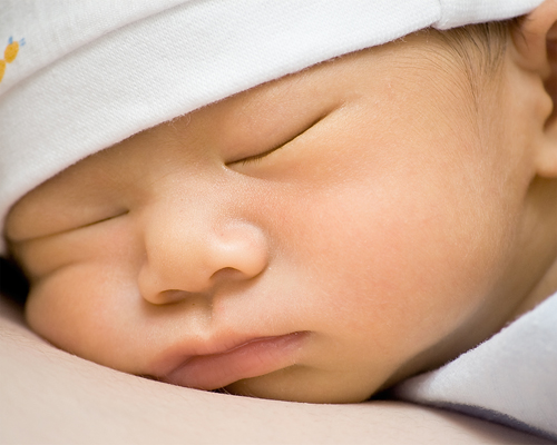 DSC_8085副本 small.jpg