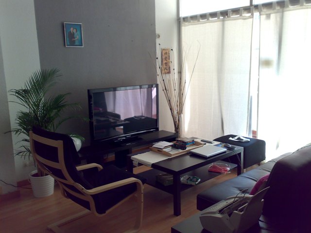 20110210131.jpg