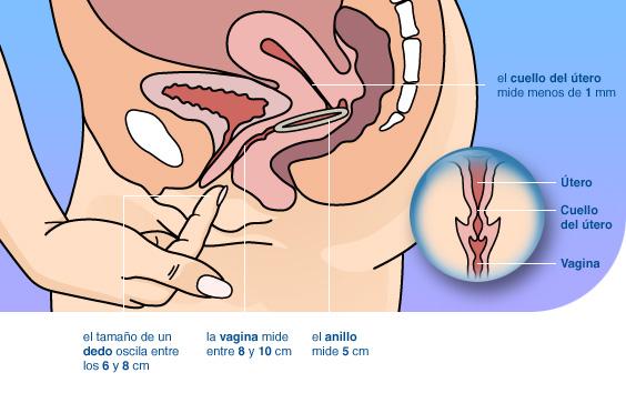 避孕环使用方法
