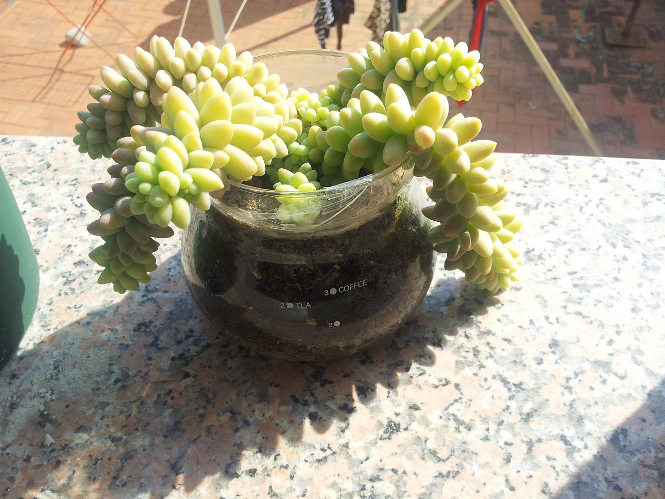 20120225_131330.jpg