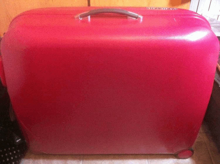 行李箱（托运最大尺寸）正莓红色