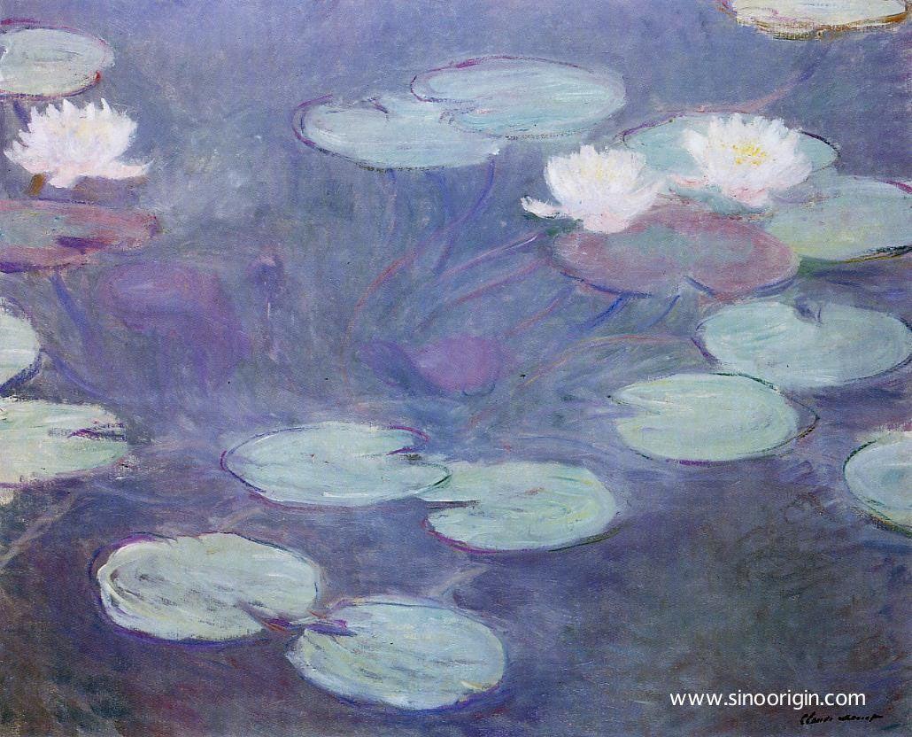 Pink Water-Lilies.jpg