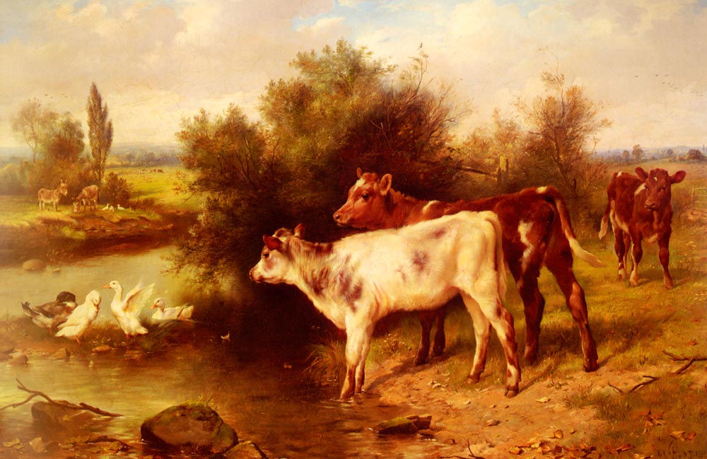 Calves Watering.jpg
