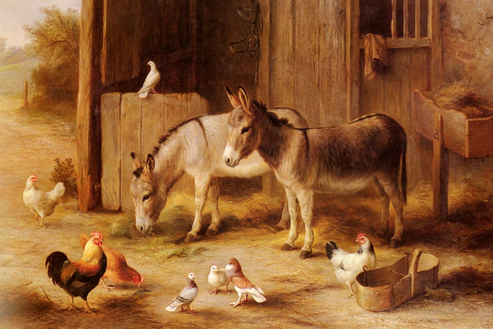 Farmyard Friends.jpg
