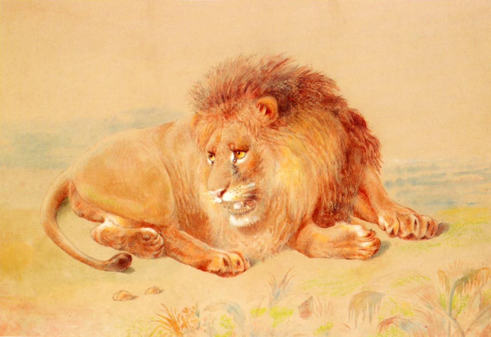 Lion.jpg