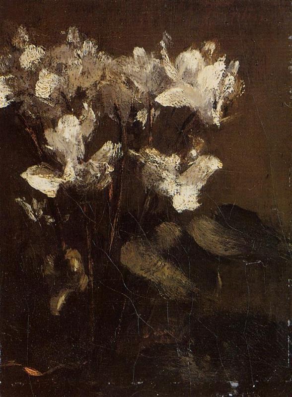 Flowers - Cyclamens.jpg