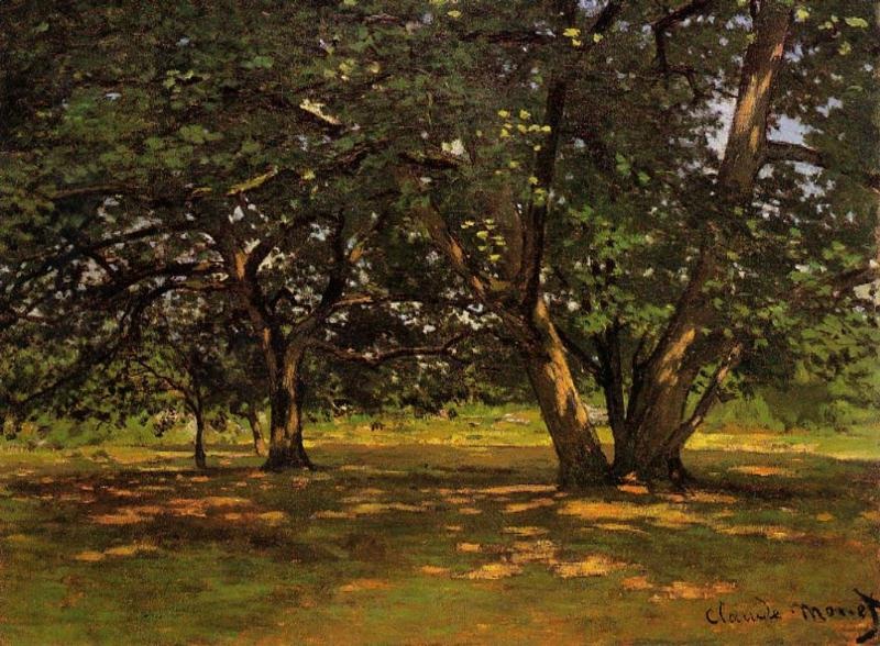 Fontainebleau Forest.jpg