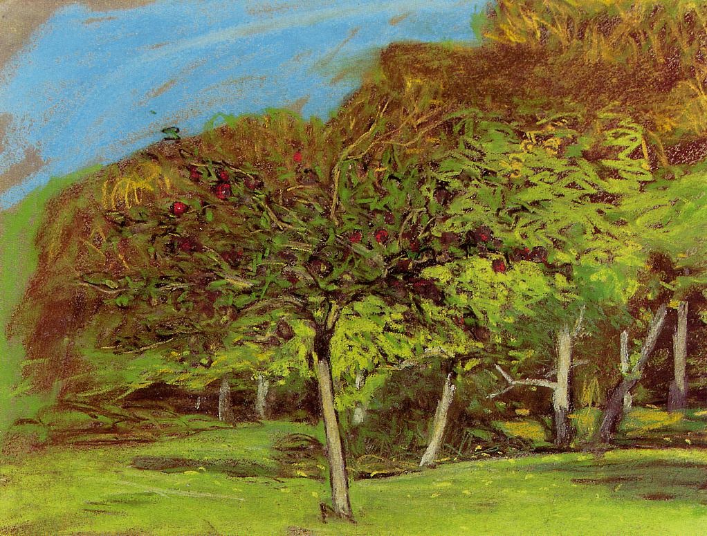 Fruit Trees.jpg