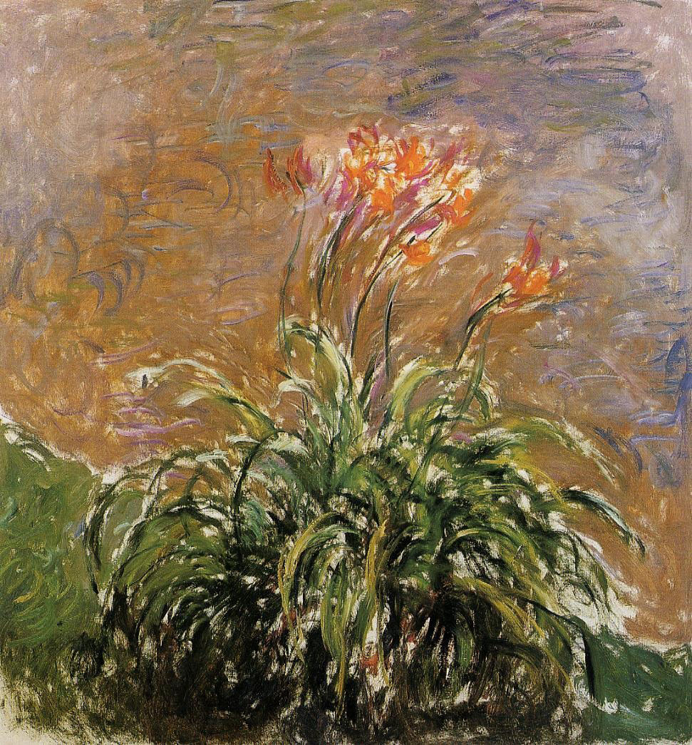 Hamerocallis.jpg