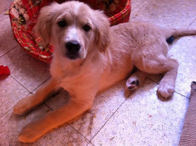 调整大小 IMG_2254.jpg