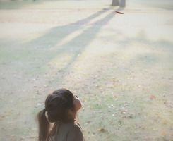 1131037838109d7da4m.jpg