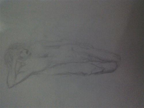 IMG120.jpg