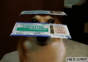 83fd609ajw1dl3le2vf25g.gif