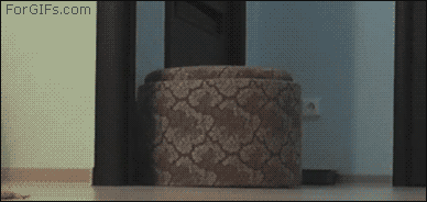 mm.gif
