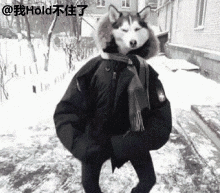 83fd609ajw1dl46hmi6p7g.gif