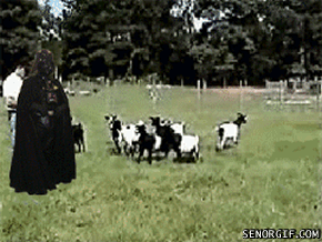 7112c07bjw1drml5wcgkeg.gif