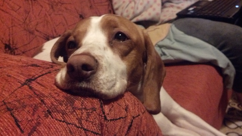 郁闷的，不知道什么时候才开饭