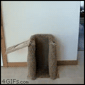 53113d06jw1drooqs27jeg.gif