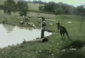 70e0a133jw1dp457542mpg.gif